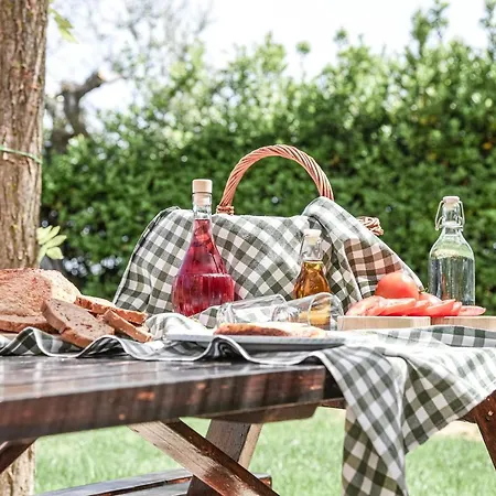 Masseria Del Vino 洛雷托·阿普鲁蒂诺