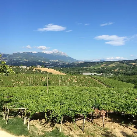 农家乐 Masseria Del Vino 洛雷托·阿普鲁蒂诺