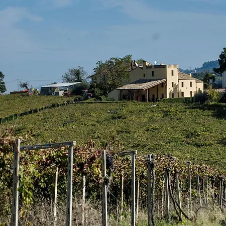 Masseria Del Vino 팜스테이 *