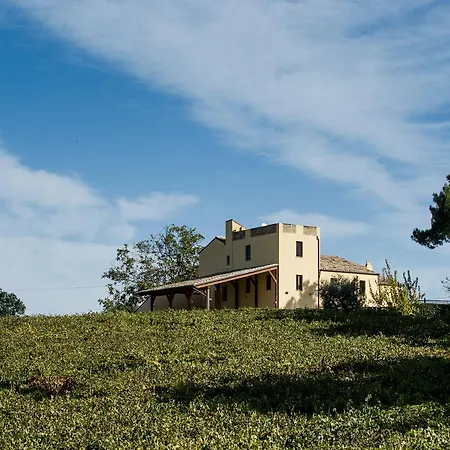 Masseria Del Vino
