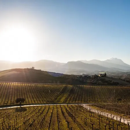 ファームステイ Masseria Del Vino - Ciavolich Wine Relais ロレート・アプルティーノ