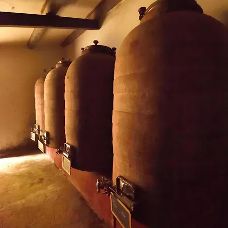 Masseria Del Vino - Ciavolich Wine Relais Фермерский дом