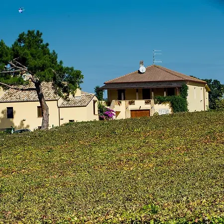 Masseria Del Vino 洛雷托·阿普鲁蒂诺