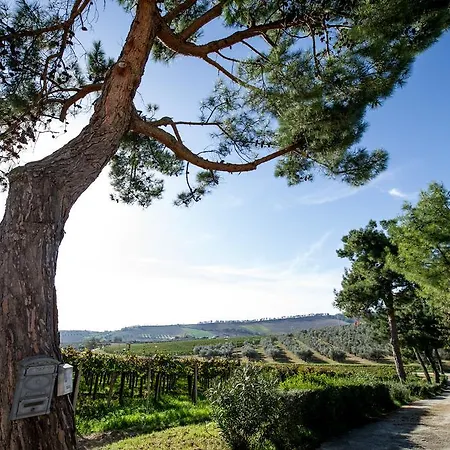 Farmház Masseria Del Vino *