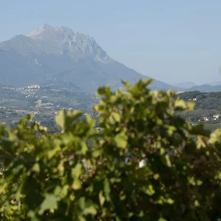 Farmház Masseria Del Vino Loreto Aprutino