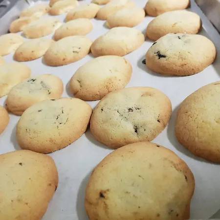 Masseria Del Vino 洛雷托·阿普鲁蒂诺