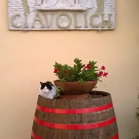 Masseria Del Vino *
