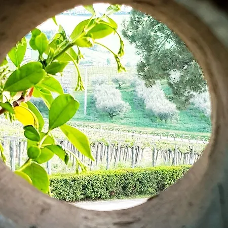 Masseria Del Vino *
