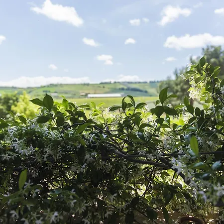 Masseria Del Vino - Ciavolich Wine Estate