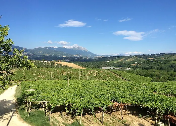 Фермерский дом Masseria Del Vino - Ciavolich Wine Estate Лорето-Апрутино