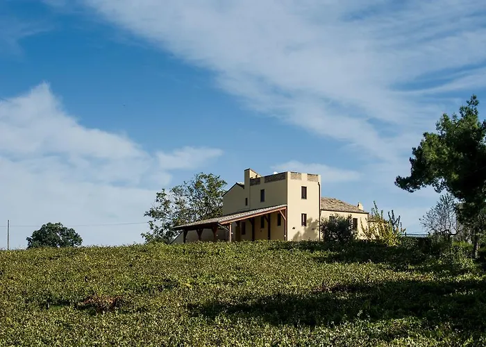 Masseria Del Vino - Ciavolich Wine Estate