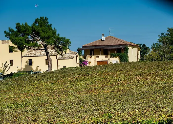 Masseria Del Vino - Ciavolich Wine Estate Лорето-Апрутино