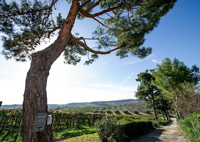 בית חווה Masseria Del Vino - Ciavolich Wine Estate *
