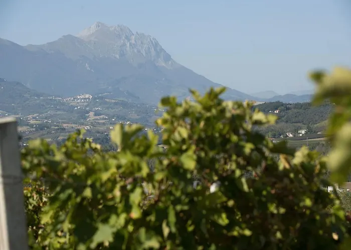 Фермерский дом Masseria Del Vino - Ciavolich Wine Estate Лорето-Апрутино