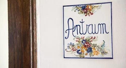 Masseria Del Vino - Ciavolich Wine Estate Лорето-Апрутино