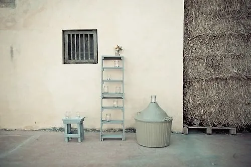 Masseria Del Vino - Ciavolich Wine Estate בית חווה לורטו אפרוטינו