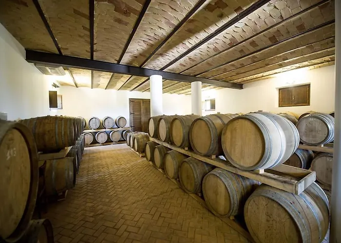 Masseria Del Vino - Ciavolich Wine Estate