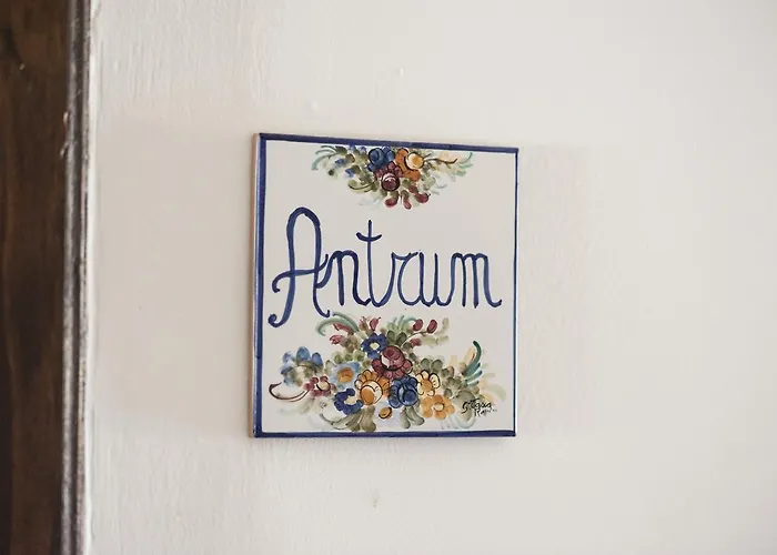 Masseria Del Vino - Ciavolich Wine Estate * Лорето-Апрутино